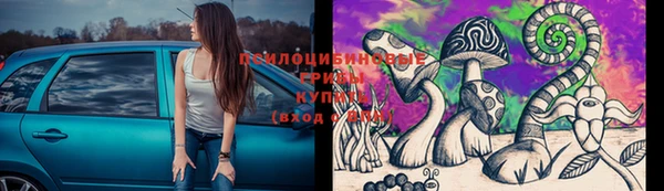молекула духа Ладушкин
