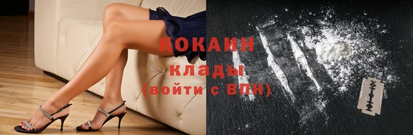 молекула духа Ладушкин