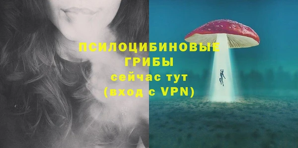 молекула духа Ладушкин