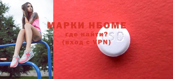 молекула духа Ладушкин
