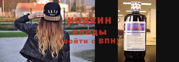 молекула духа Ладушкин