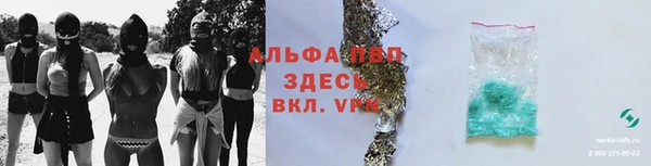 молекула духа Ладушкин