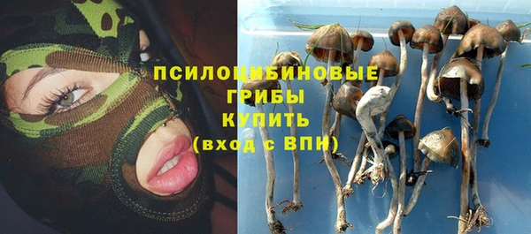 не бодяженный Лабытнанги