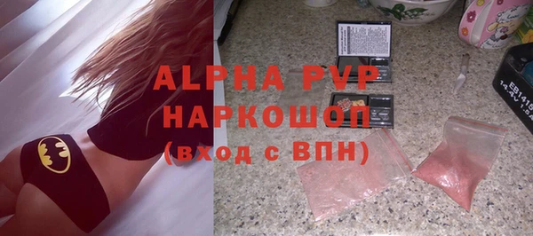 молекула духа Ладушкин