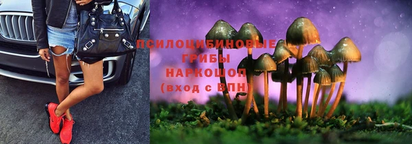 не бодяженный Лабытнанги
