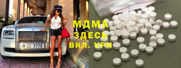 молекула духа Ладушкин