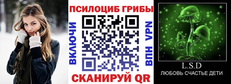 Галлюциногенные грибы Psilocybe  Емва 